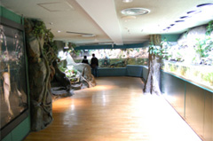 サンシャイン国際水族館