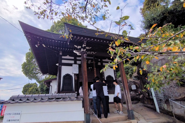 �O�\�O�ω���