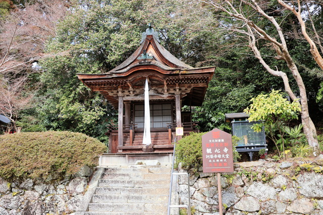 ���瓰�i�d�����V���j