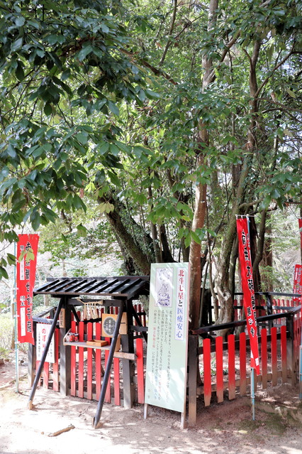 �P�ØT���i�g�����E�V���E�j