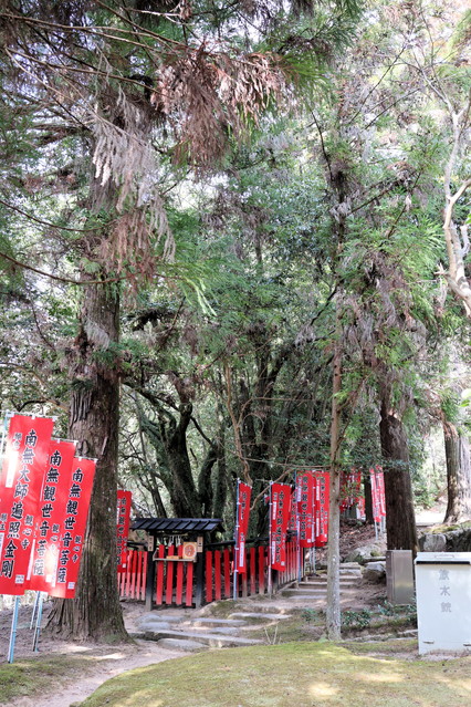 �Q���启�i�R�����V���E�j