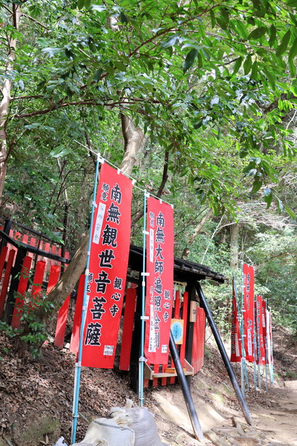 �S���Ȑ��i�����R�N�V���E�j