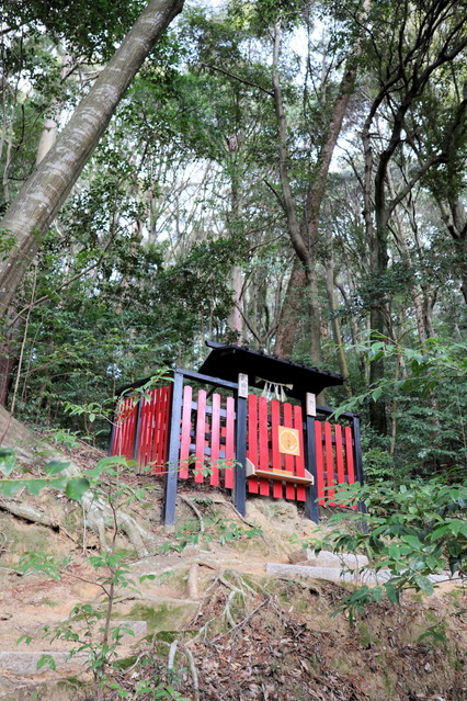 �U���Ȑ��i���R�N�V���E�j