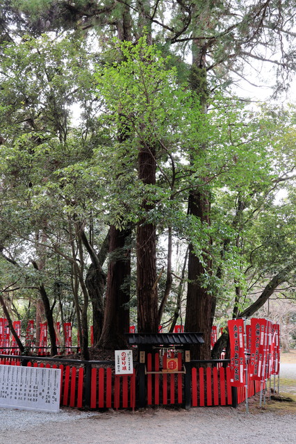 �V�j�R���i�n�O���V���E�j