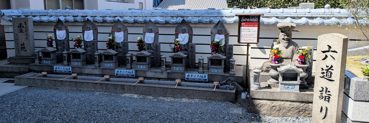 �������Z�n��