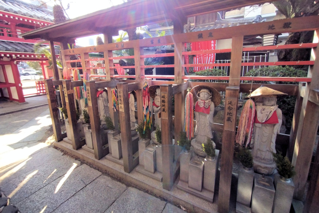 �Z���\���n����F