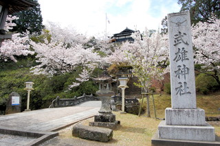 社号碑と桜