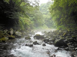 岩戸川